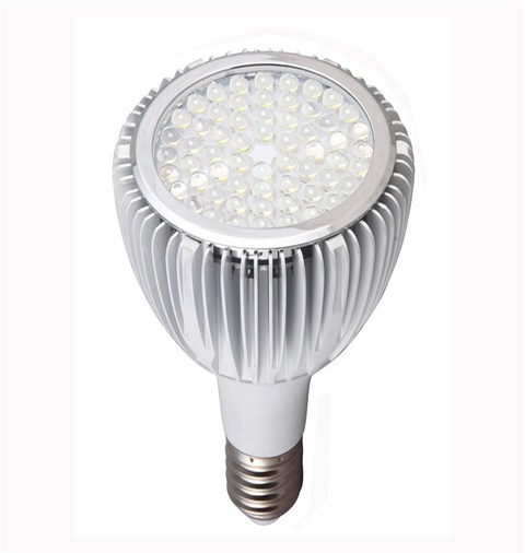 独特透镜12W LED PAR30射灯 SMD灯珠 60度发光角  CE、ROHS认证